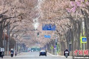 公主岭共建“花园城市” 北京这场议政会“百花齐放”