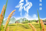 公主岭芒种节气小知识来了 夏种作物都有什么？
